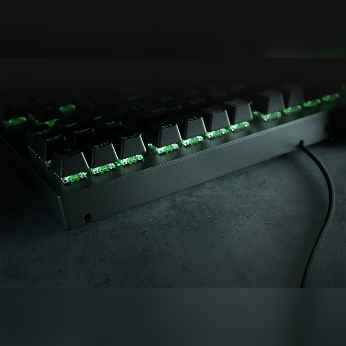 מקלדת גיימינג מכנית Razer BlackWidow V3 Tenkeyless – תמונה 2