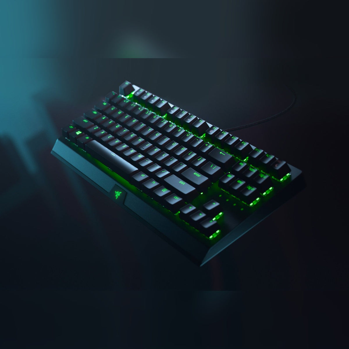 מקלדת גיימינג מכנית Razer BlackWidow V3 Tenkeyless – תמונה 4