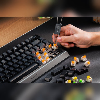 מקלדת גיימינג מכנית Razer BlackWidow V4 75% – תמונה 6