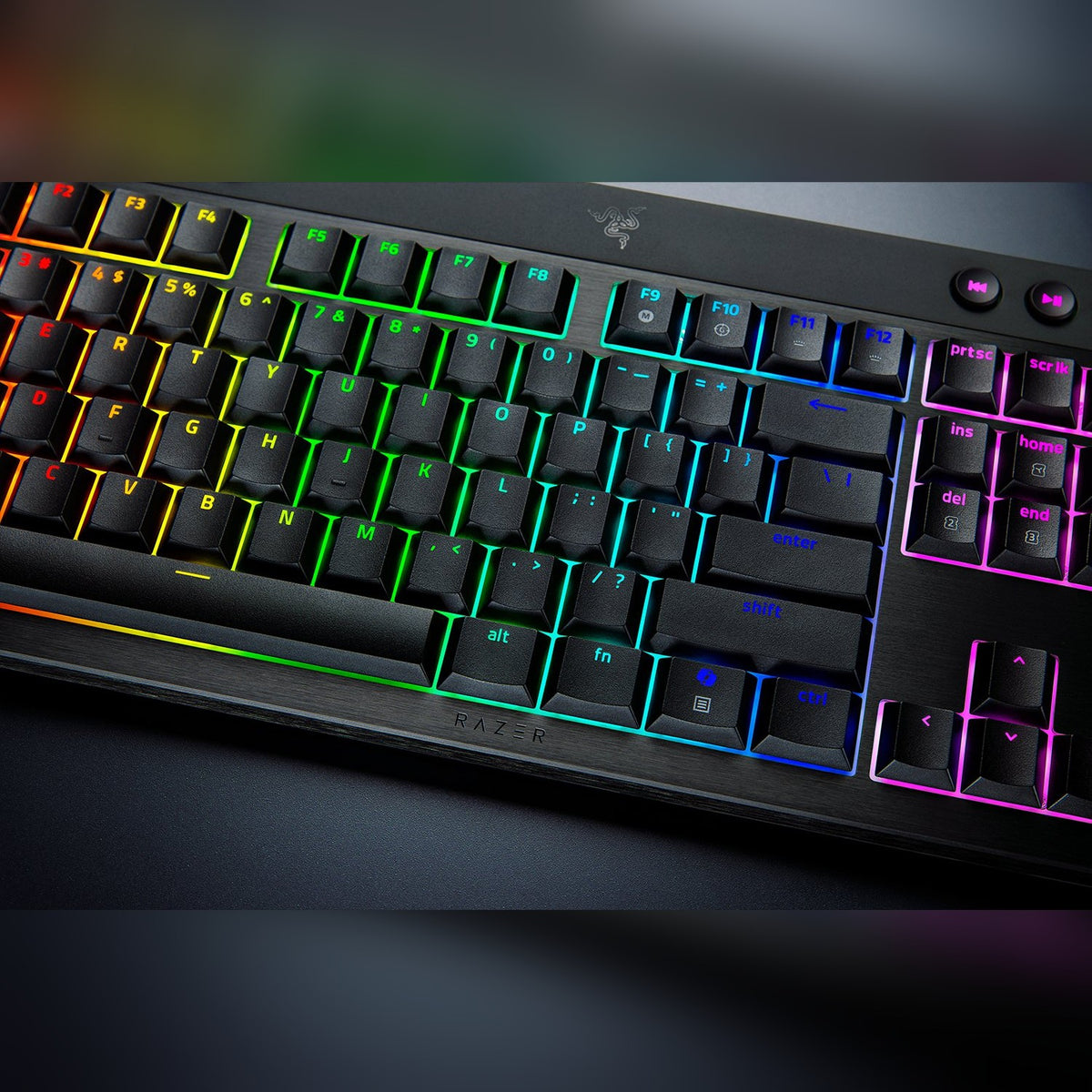 מקלדת גיימינג אלחוטית נמוכה Razer BlackWidow V4 Low-Profile Tenkeyless HyperSpeed – תמונה 4