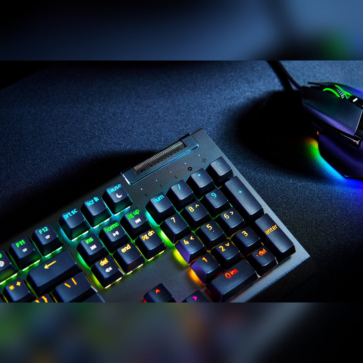 מקלדת גיימינג מכנית Razer BlackWidow V4 X – תמונה 2