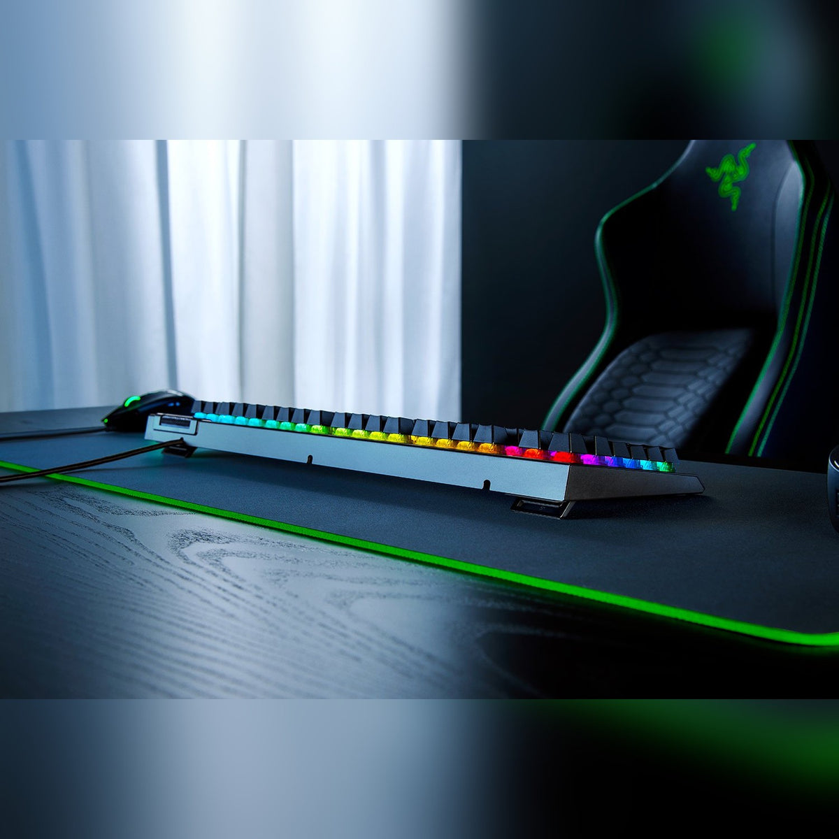 מקלדת גיימינג מכנית Razer BlackWidow V4 X – תמונה 4