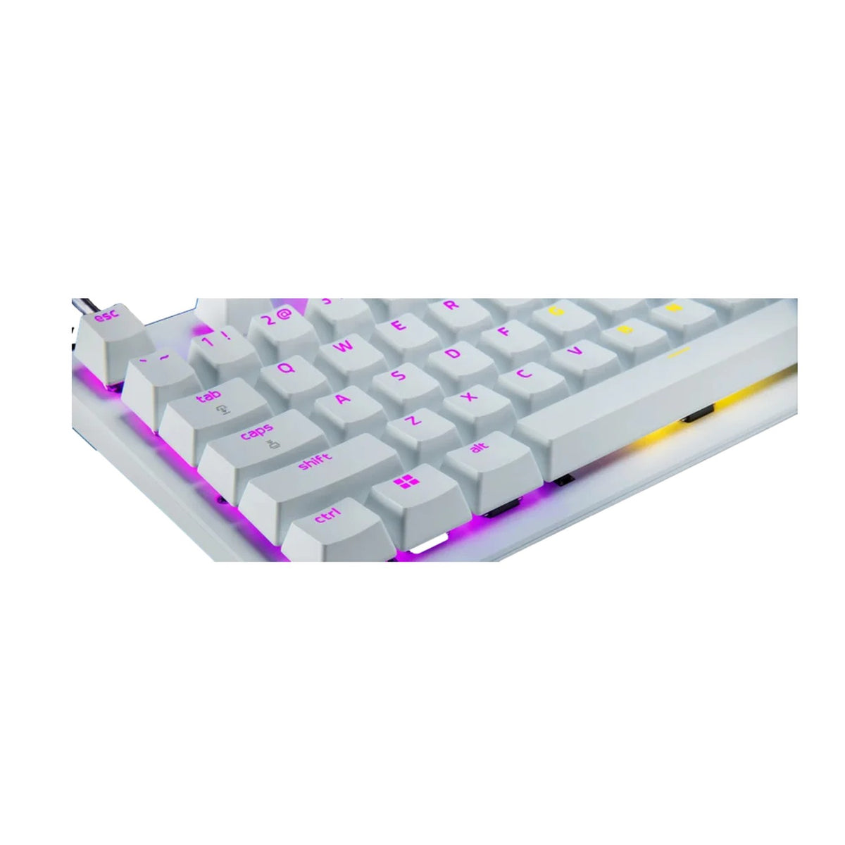 מקלדת גיימינג אנלוגית Razer Huntsman V3 Pro Tenkeyless – תמונה 9