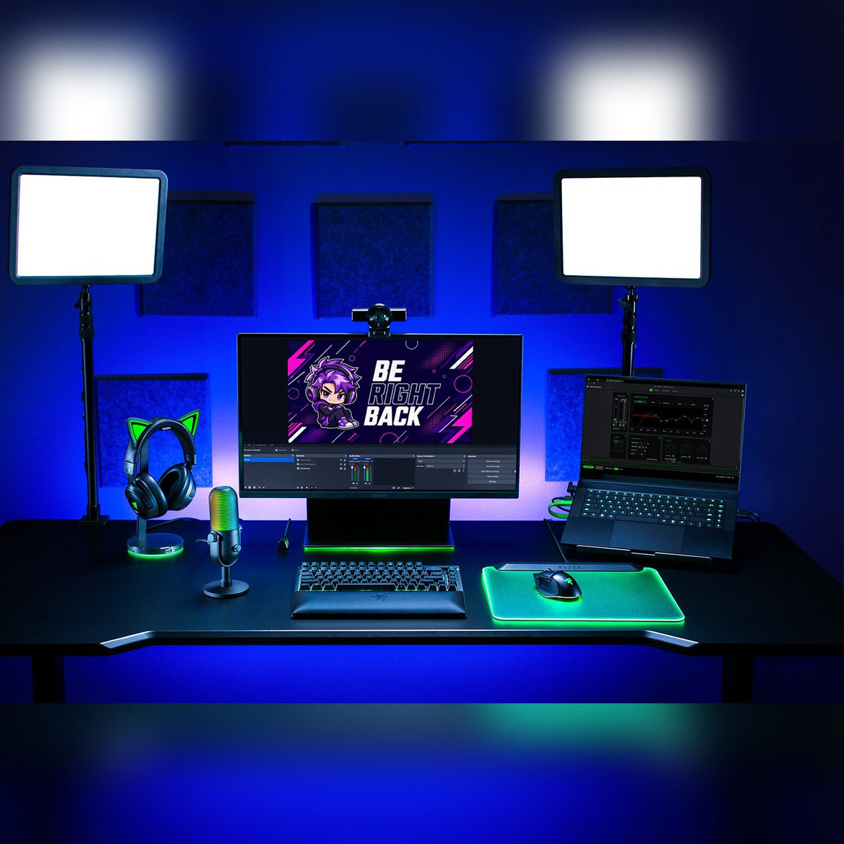 מיקרופון USB Razer Seiren V3 Chroma 32-bit – תמונה 5
