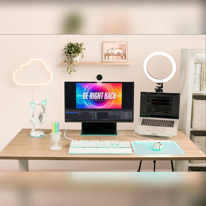 מיקרופון USB Razer Seiren V3 Chroma 32-bit – תמונה 6